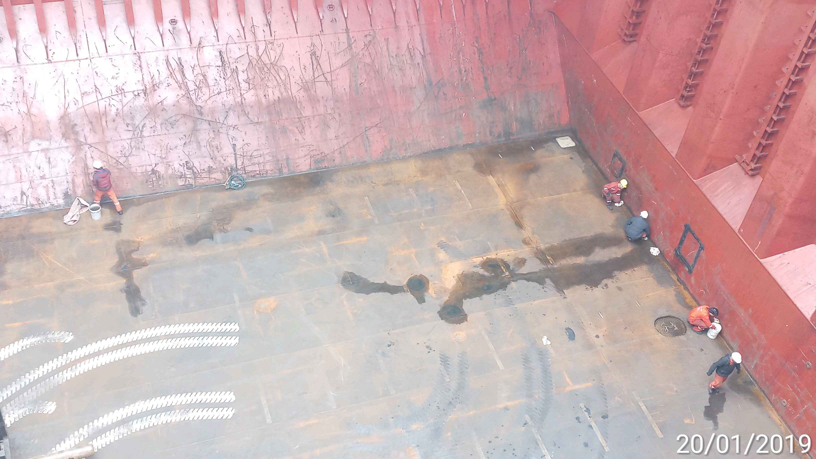 Cargo hold cleanliness survey